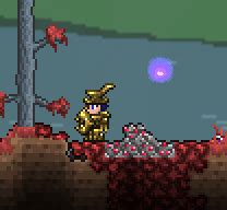 ruby crawler terraria